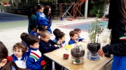 20190517_102749_resize